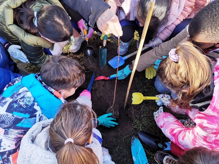I carabinieri forestali e la primaria Cantelli festeggiano la giornata nazionale degli alberi I carabinieri forestali e la primaria Cantelli festeggiano la giornata nazionale degli alberi