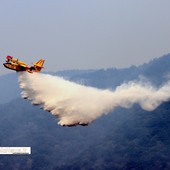 Incendi in Ossola, l'emergenza non è finita: nuovi focolai a Calasca e torna il Canadair Incendi in Ossola, l'emergenza non è finita: nuovi focolai a Calasca e torna il Canadair