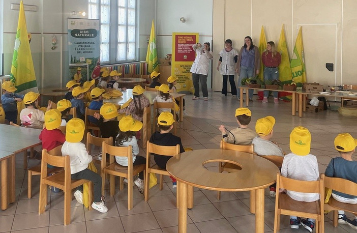 Coldiretti Piemonte: stop ai cibi ultraprocessati nelle mense scolastiche