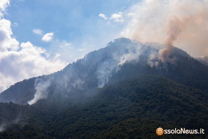 Incendi boschivi, il M5S: “Il Vco diventi laboratorio per la prevenzione” Incendi boschivi, il M5S: “Il Vco diventi laboratorio per la prevenzione”