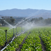 Coldiretti Novara-Vco: "L'acqua è una priorità strategica, servono invasi e una rete idrica più efficiente" Coldiretti Novara-Vco: "L'acqua è una priorità strategica, servono invasi e una rete idrica più efficiente"