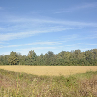 Aree Protette del Ticino e Lago Maggiore: nasce lo Sportello dell'Agricoltura