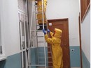 Bonifica e disinfestazione dagli insetti pericolosi: le indicazioni dei vigili del fuoco