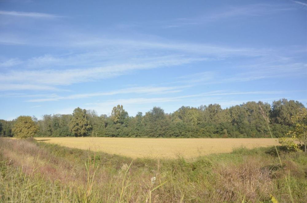 Aree Protette del Ticino e Lago Maggiore: nasce lo Sportello dell'Agricoltura Aree Protette del Ticino e Lago Maggiore: nasce lo Sportello dell'Agricoltura