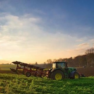 Controlli sull'origine dei prodotti, Coldiretti Piemonte: "Un passo contro il falso Made in Italy"