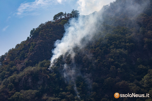 Incendi nel Vco, il M5S propone sensori nei boschi e più manutenzione Incendi nel Vco, il M5S propone sensori nei boschi e più manutenzione