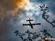 Incendi nel Vco, situazione in miglioramento ma resta alta l'attenzione: ancora al lavoro Canadair ed elicottero a Premosello Incendi nel Vco, situazione in miglioramento ma resta alta l'attenzione: ancora al lavoro Canadair ed elicottero a Premosello