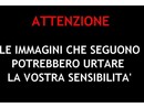 A caccia a bordo di un'auto come se fosse un safari, scoperti dalla Provinciale due cacciatori FOTO E VIDEO A caccia a bordo di un'auto come se fosse un safari, scoperti dalla Provinciale due cacciatori FOTO E VIDEO