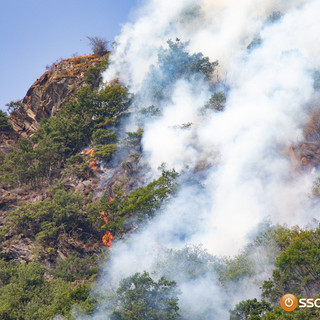Incendi nel VCO, Falcioni: "Le montagne vanno manutenute, serve un ritorno alle origini"