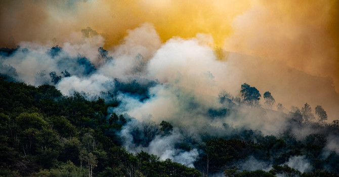 Premosello Chiovenda ringrazia chi ha affrontato l'emergenza incendio: "La nostra comunità ha mostrato il suo volto migliore" Premosello Chiovenda ringrazia chi ha affrontato l'emergenza incendio: "La nostra comunità ha mostrato il suo volto migliore"