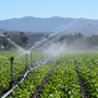 Coldiretti Novara-Vco: "L'acqua è una priorità strategica, servono invasi e una rete idrica più efficiente" Coldiretti Novara-Vco: "L'acqua è una priorità strategica, servono invasi e una rete idrica più efficiente"