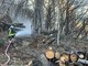 Ad Ornavasso arriva un canadair per spegnere l'incendio FOTO Ad Ornavasso arriva un canadair per spegnere l'incendio FOTO