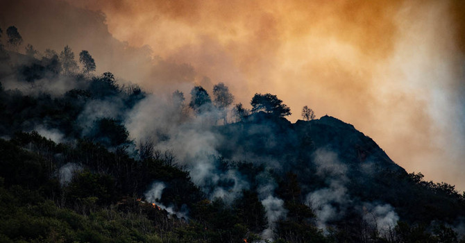 Incendi in Ossola, Ferroni: "Boschi abbandonati, serve una gestione concreta della montagna" Incendi in Ossola, Ferroni: "Boschi abbandonati, serve una gestione concreta della montagna"