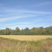Aree Protette del Ticino e Lago Maggiore: nasce lo Sportello dell'Agricoltura Aree Protette del Ticino e Lago Maggiore: nasce lo Sportello dell'Agricoltura