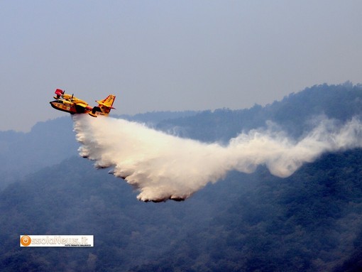 Incendi in Ossola, l'emergenza non è finita: nuovi focolai a Calasca e torna il Canadair Incendi in Ossola, l'emergenza non è finita: nuovi focolai a Calasca e torna il Canadair