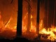 Il Piemonte da due mesi combatte contro gli incendi boschivi