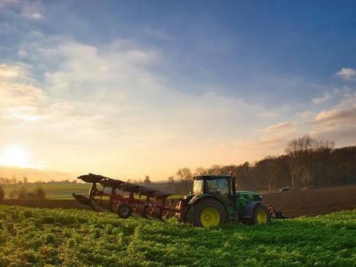 Controlli sull'origine dei prodotti, Coldiretti Piemonte: "Un passo contro il falso Made in Italy" Controlli sull'origine dei prodotti, Coldiretti Piemonte: "Un passo contro il falso Made in Italy"