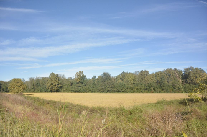 Aree Protette del Ticino e Lago Maggiore: nasce lo Sportello dell'Agricoltura