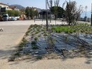 “Perché non allestire un palco permanente sul lungolago di Intra?” “Perché non allestire un palco permanente sul lungolago di Intra?”