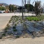 “Perché non allestire un palco permanente sul lungolago di Intra?”