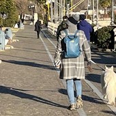 Restyling dell'ultimo tratto del lungolago Intra: affidata la progettazione