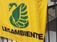 Calo delle piantumazioni nel 2023: nuovi alberi in calo, ma i benefici rimangono elevati Calo delle piantumazioni nel 2023: nuovi alberi in calo, ma i benefici rimangono elevati