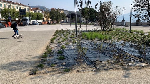 “Perché non allestire un palco permanente sul lungolago di Intra?”