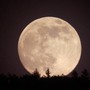 Il cielo di ottobre regala la Superluna