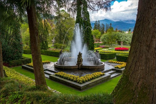 &quot;Artemisia&quot;, un viaggio tra i giardini più belli d'Italia con la mostra di Dario Fusaro