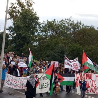“Mille giorni di genocidio a Gaza”: Verbania torna in piazza