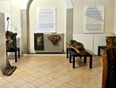 A Omegna una mostra alla scoperta della filosofia pratica di Aristotele