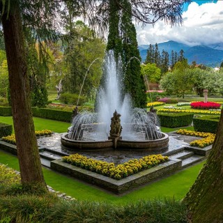&quot;Artemisia&quot;, un viaggio tra i giardini più belli d'Italia con la mostra di Dario Fusaro