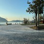 Taglio degli alberi a Intra, il Movimento Difesa del Cittadino: “Scelta senza sensibilità”