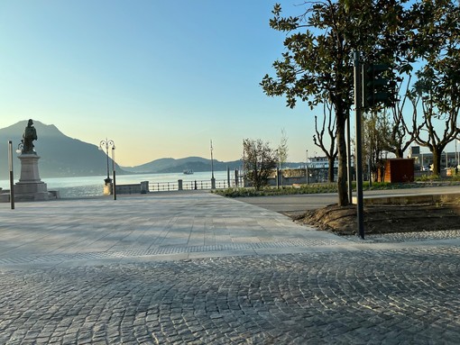 Taglio degli alberi a Intra, il Movimento Difesa del Cittadino: “Scelta senza sensibilità”