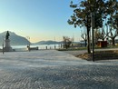 Taglio degli alberi a Intra, il Movimento Difesa del Cittadino: “Scelta senza sensibilità” Taglio degli alberi a Intra, il Movimento Difesa del Cittadino: “Scelta senza sensibilità”