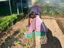 Inaugurato a Possaccio il nuovo orto sociale di Casa Xenia