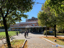 All'Asl Vco si sperimenta la modalità del Primary Nursing