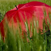 Nel Vco l'estate meteorologica inizia con l'allerta gialla per temporali Nel Vco l'estate meteorologica inizia con l'allerta gialla per temporali