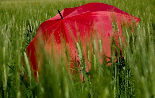 Nel Vco l'estate meteorologica inizia con l'allerta gialla per temporali
