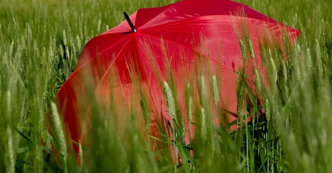 Nel Vco l'estate meteorologica inizia con l'allerta gialla per temporali