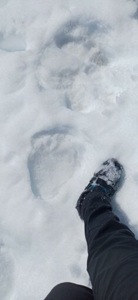 L'impronta lasciata da M29 a Pogallo