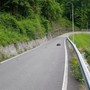 Riaperta dopo un mese la provinciale della Vallestrona