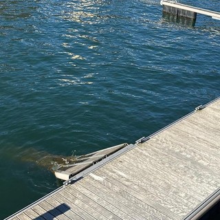 Che fine ha fatto il nuovo porto turistico?