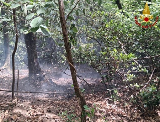 Incendio boschivo sul Monterosso: intervento tempestivo dei soccorsi