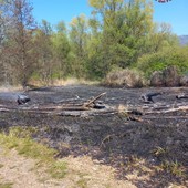 Incendio a Fondotoce, in fiamme un’area di canneto: intervento dei Vigili del Fuoco Incendio a Fondotoce, in fiamme un’area di canneto: intervento dei Vigili del Fuoco