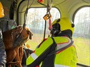 Donna bloccata al Mottarone con il suo cane, soccorsa dai vigili del fuoco