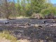 Incendio a Fondotoce, in fiamme un’area di canneto: intervento dei Vigili del Fuoco