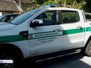 Camosci al Mottarone, braccio di ferro tra Comprensorio Vco 1 e Guardie provinciali Camosci al Mottarone, braccio di ferro tra Comprensorio Vco 1 e Guardie provinciali