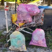 Gravellona Toce, studenti in campo con Plastic Free per ripulire il territorio