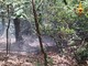 Incendio boschivo sul Monterosso: intervento tempestivo dei soccorsi